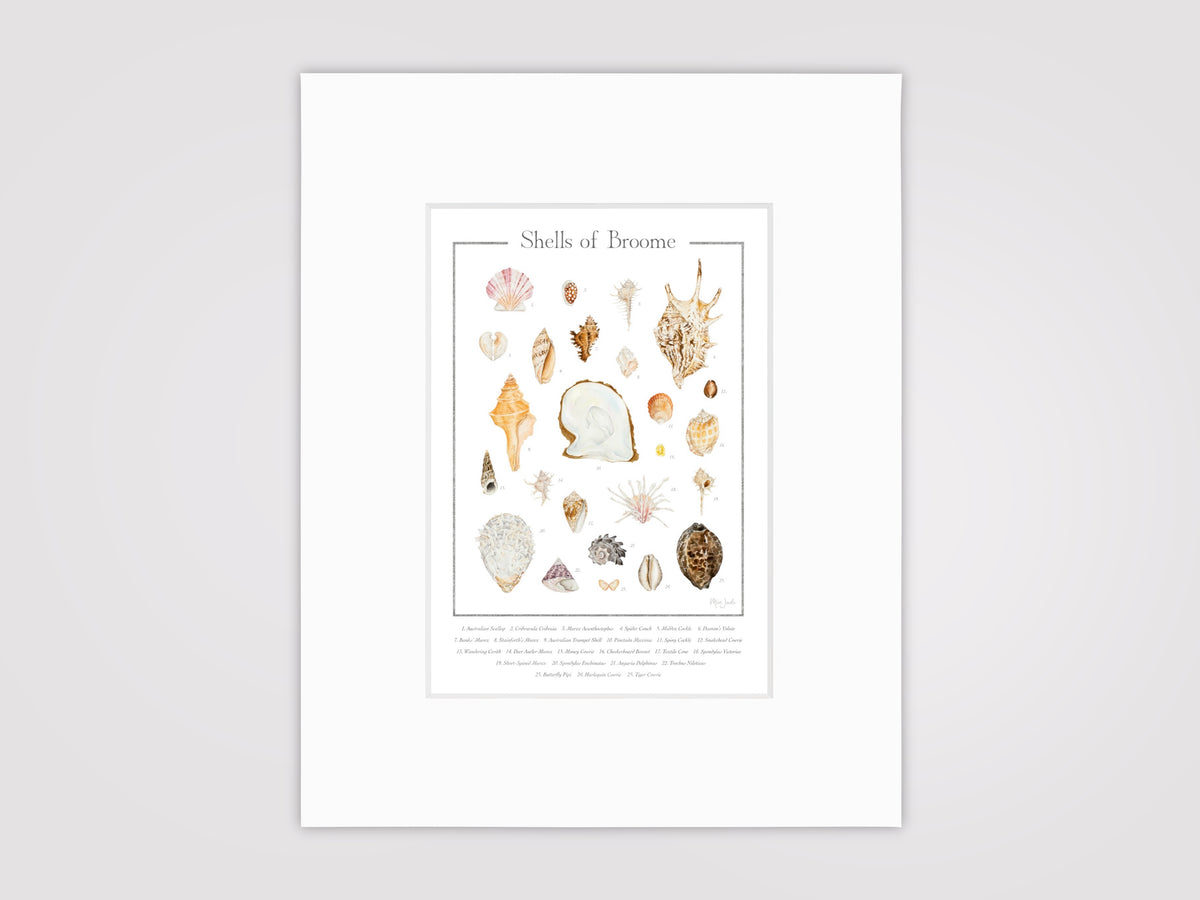 Shells of Broome Print