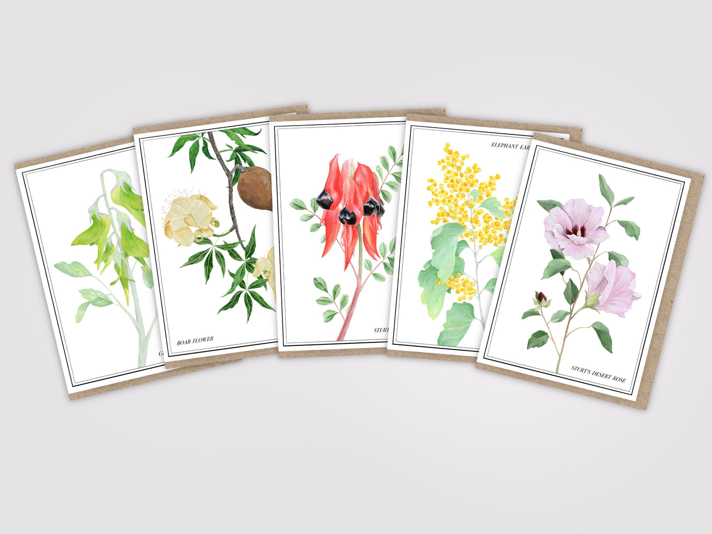 North-West Botanical Cards