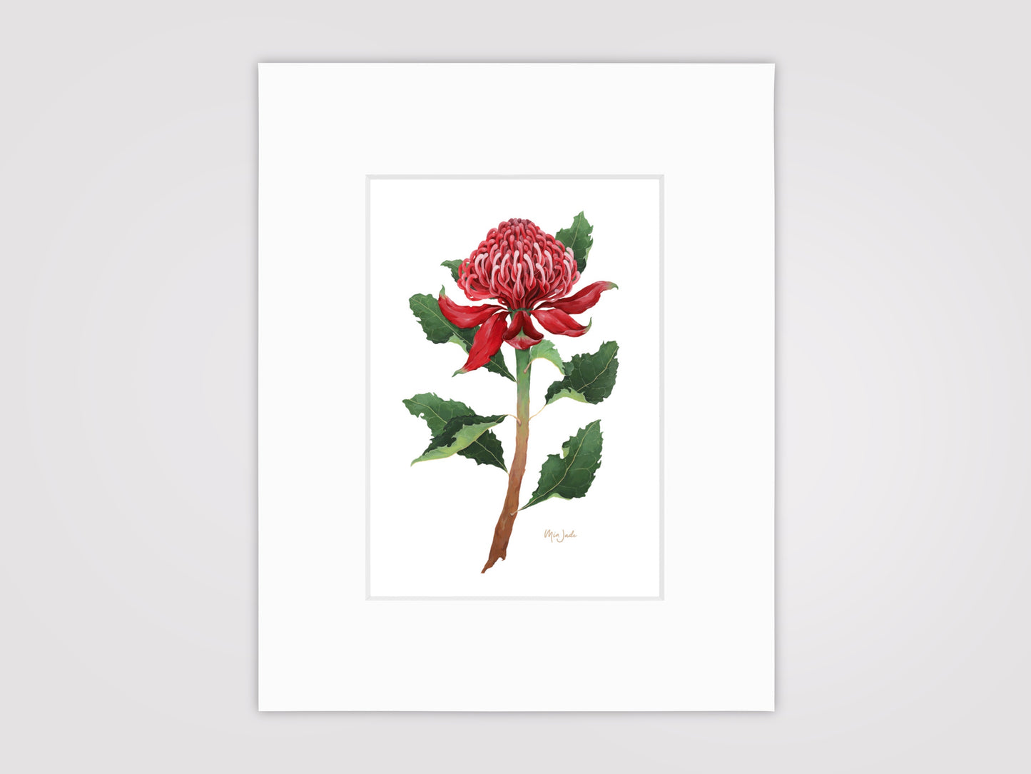 Waratah Print