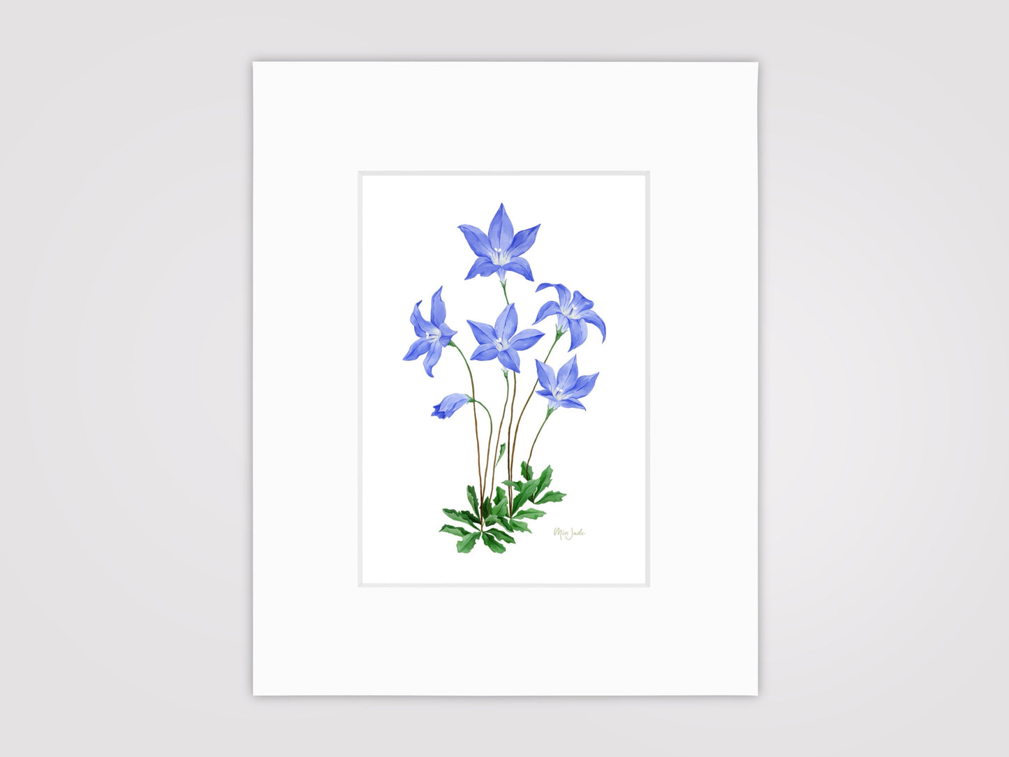 Royal Bluebell Print