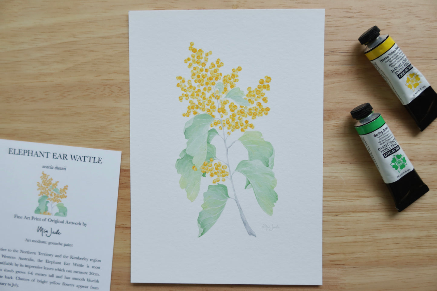 Elephant Ear Wattle Print