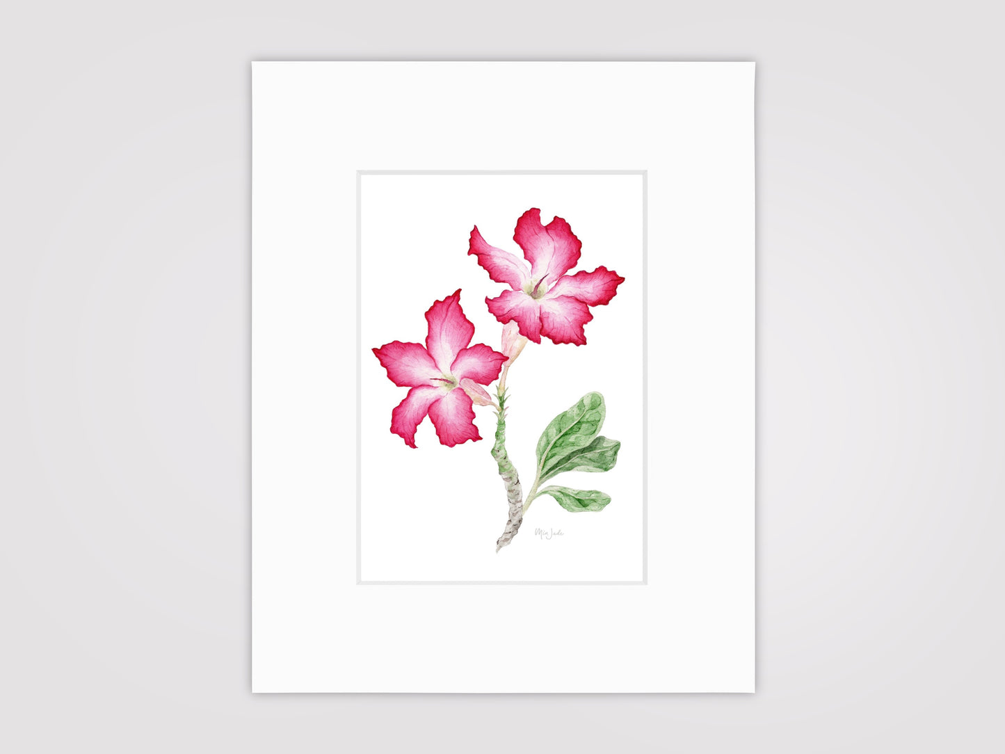 Desert Rose Print