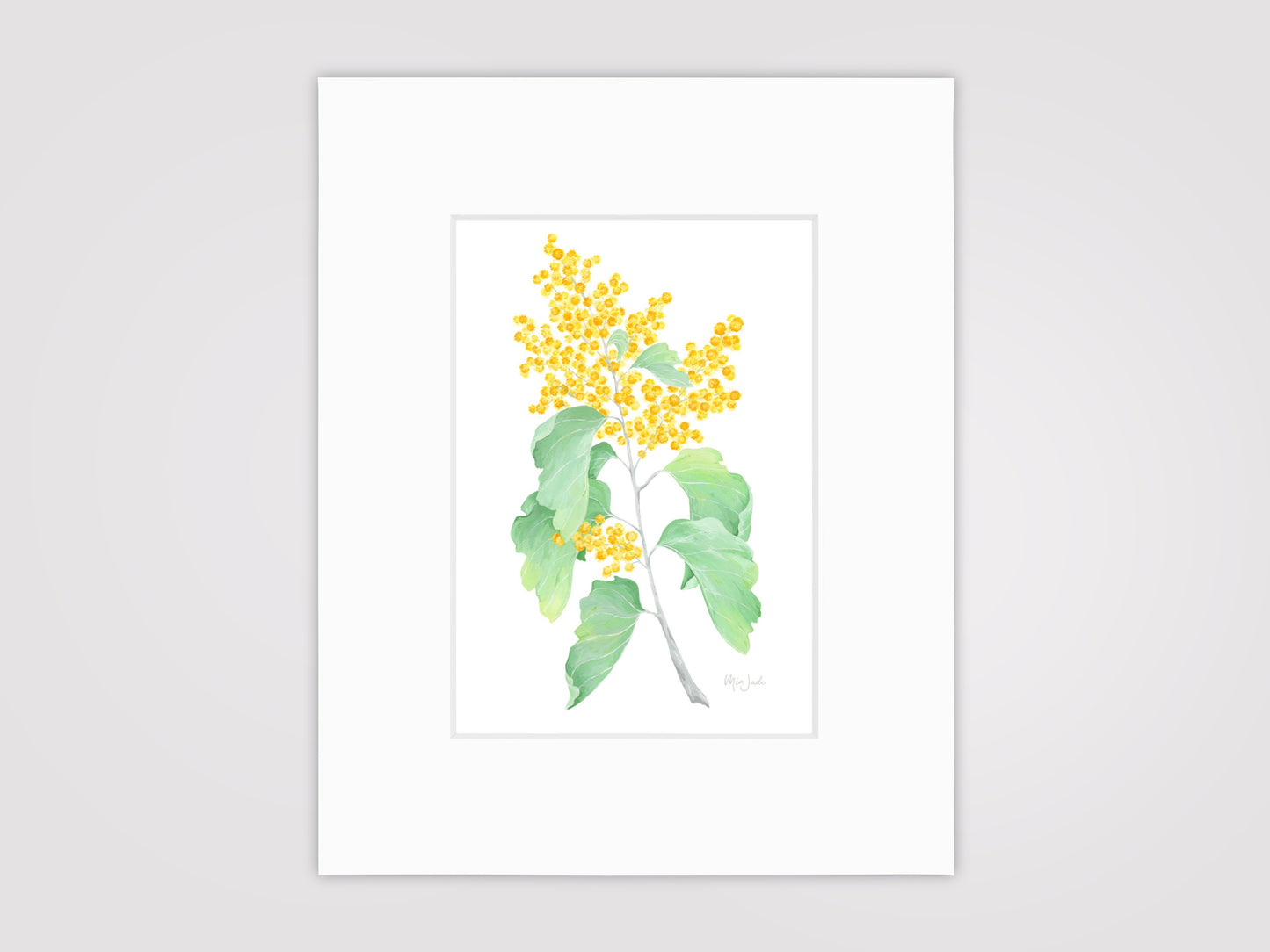Elephant Ear Wattle Print