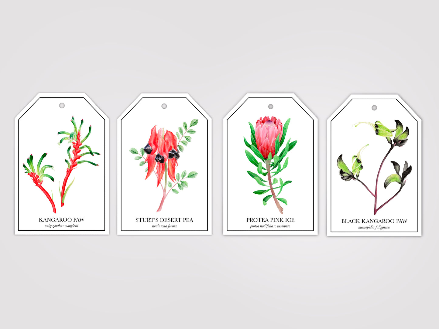 Botanical Gift Tags