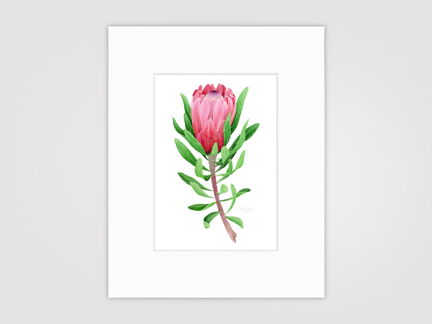 Protea Print