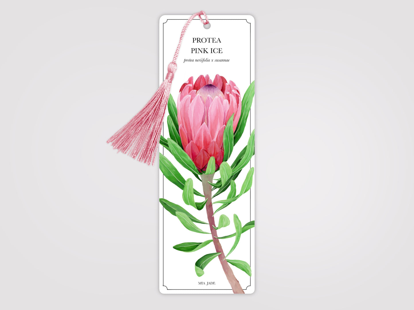 Protea Bookmark