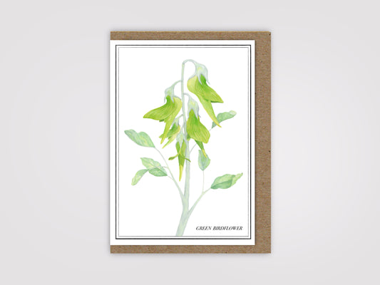 Birdflower Card