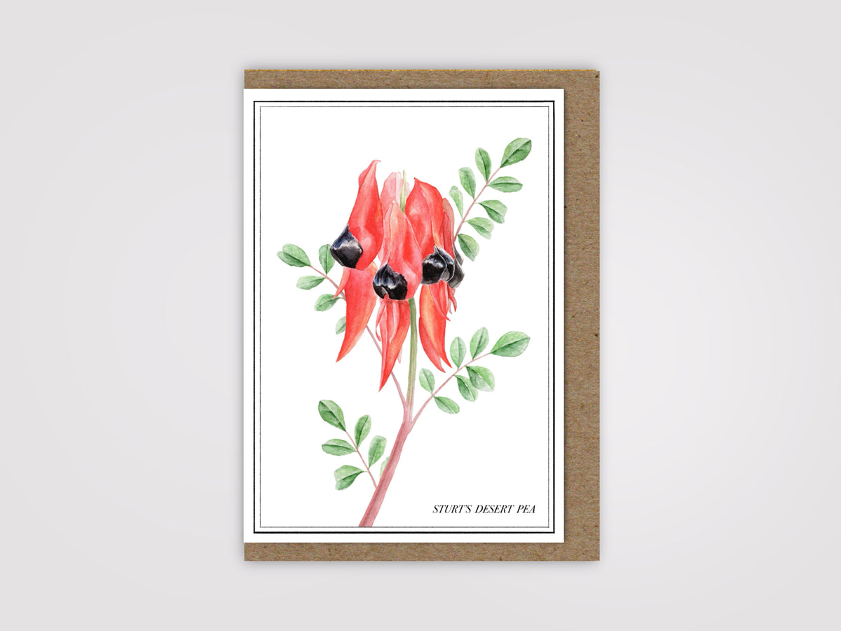 Sturt’s Desert Pea Card