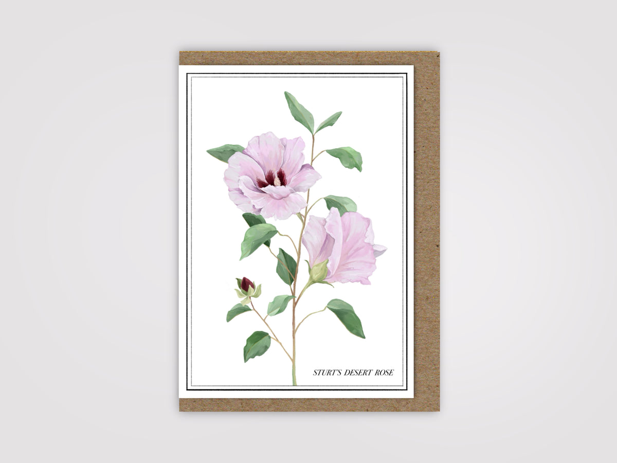 Sturt’s Desert Rose Card