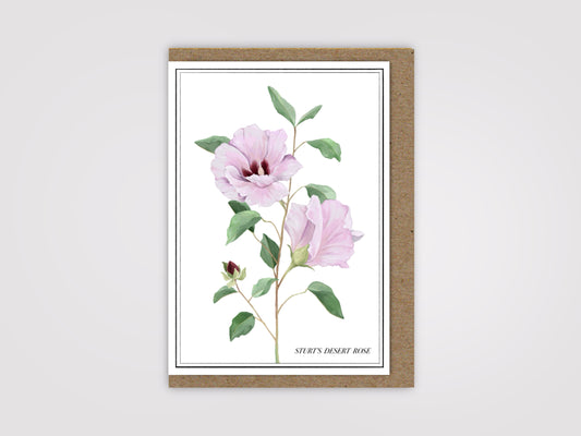 Sturt’s Desert Rose Card