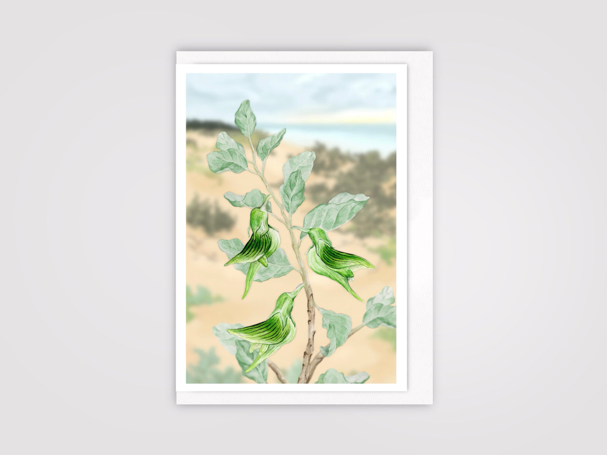 Birdflower Bush Card