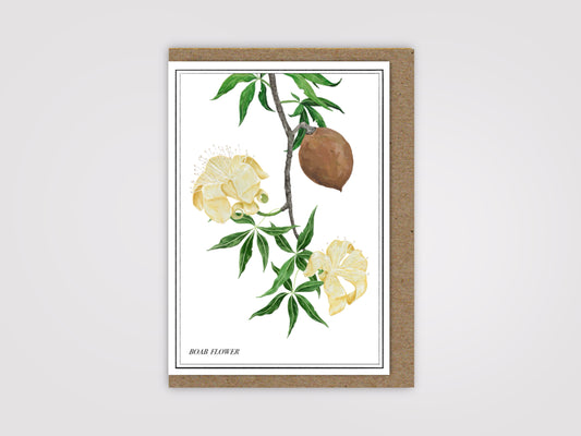 Boab Flower Card
