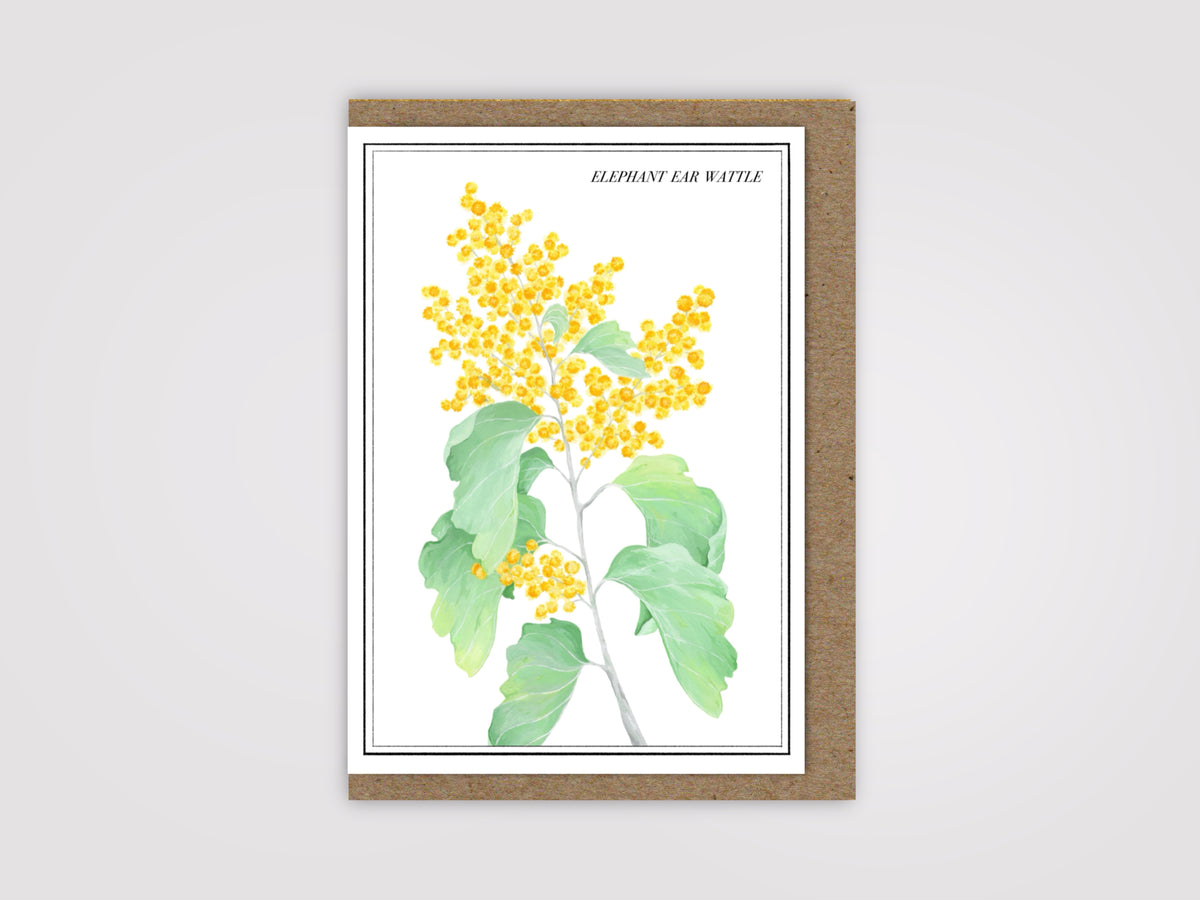 Elephant Ear Wattle Card