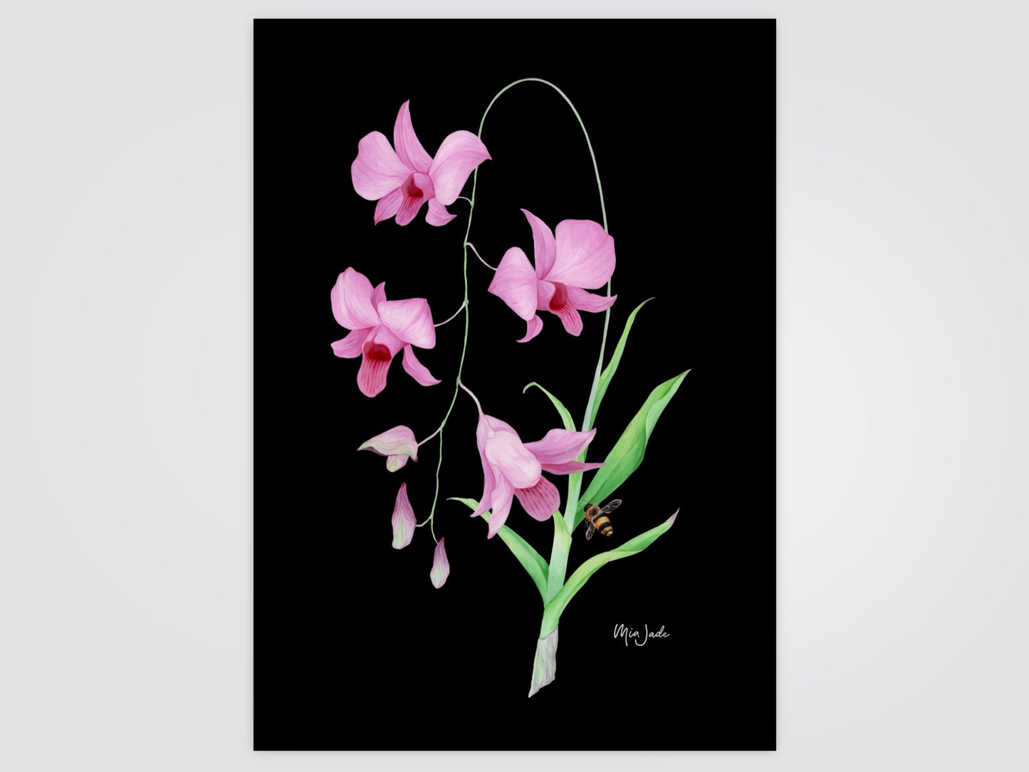 Cooktown Orchid & Bee Print
