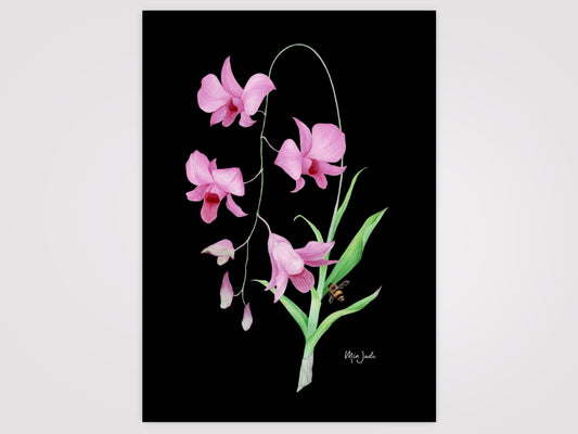 Cooktown Orchid & Bee Print
