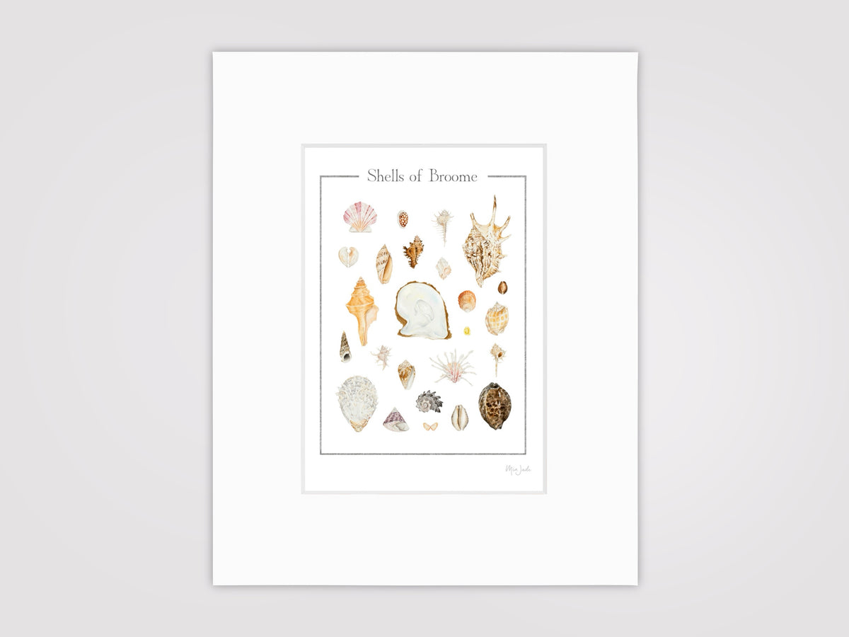 Shells of Broome Print