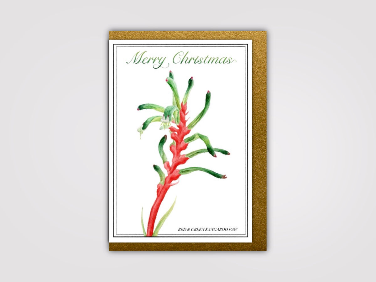 Christmas Kangaroo Paw Card