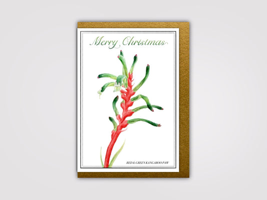 Christmas Kangaroo Paw Card