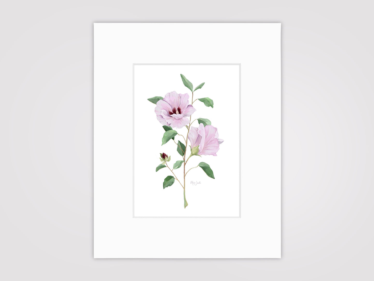 Sturt's Desert Rose Print