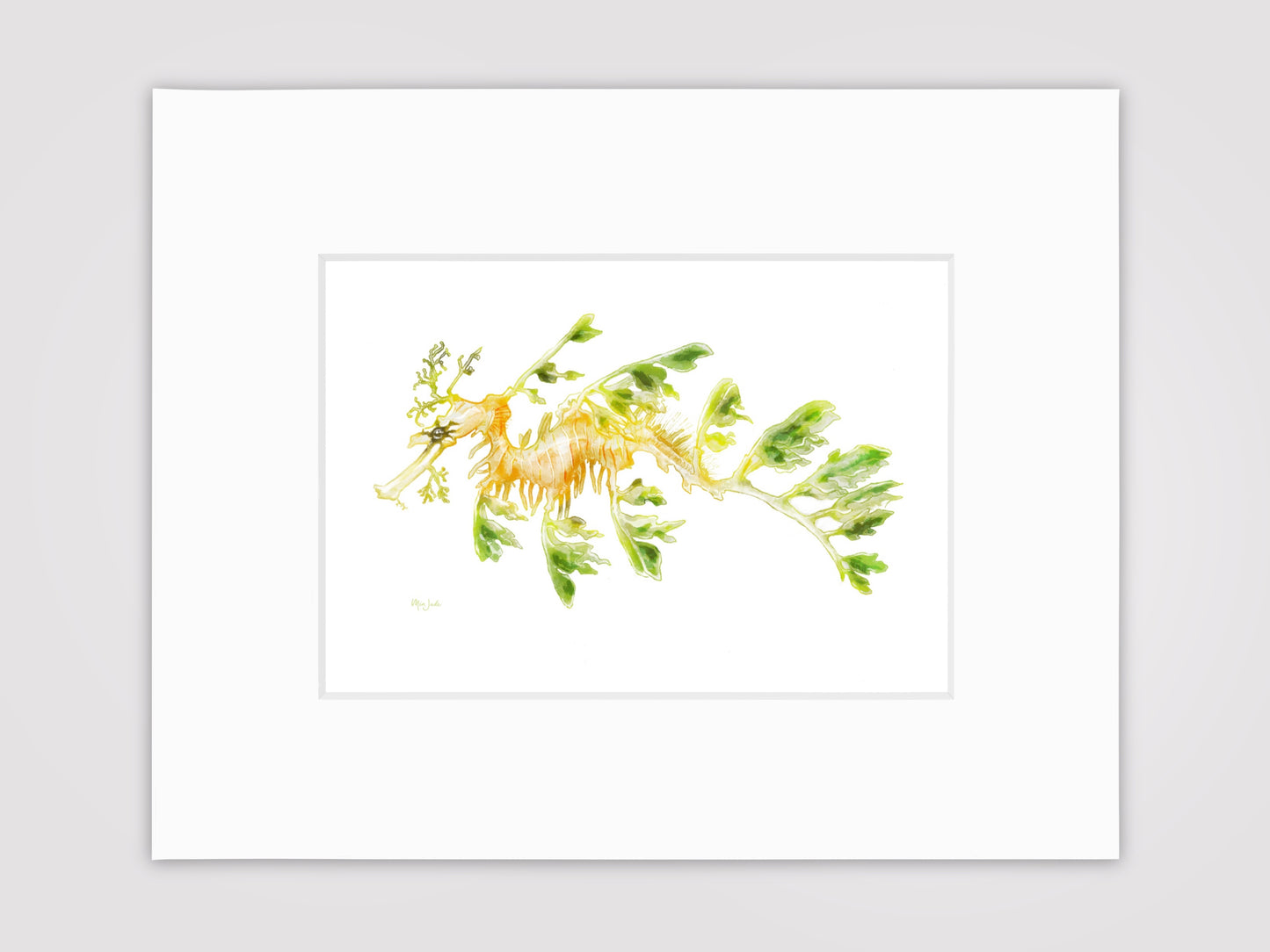 Leafy Sea Dragon Colour Print