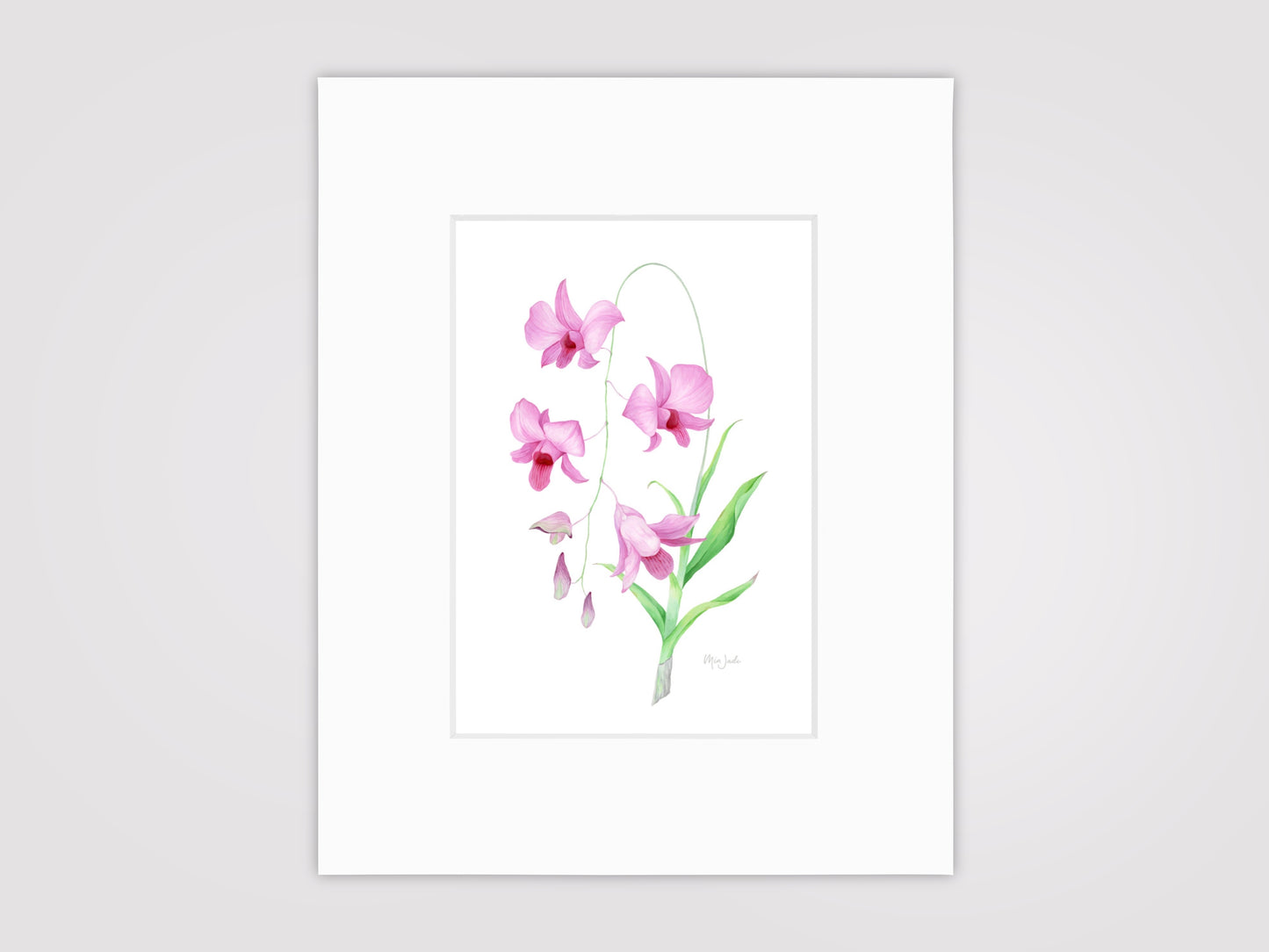 Cooktown Orchid Print