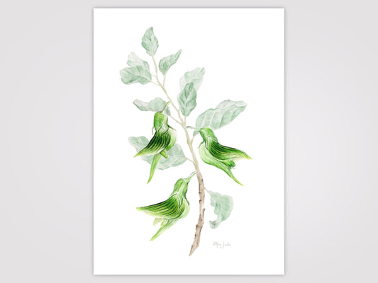 Green Birdflower Print