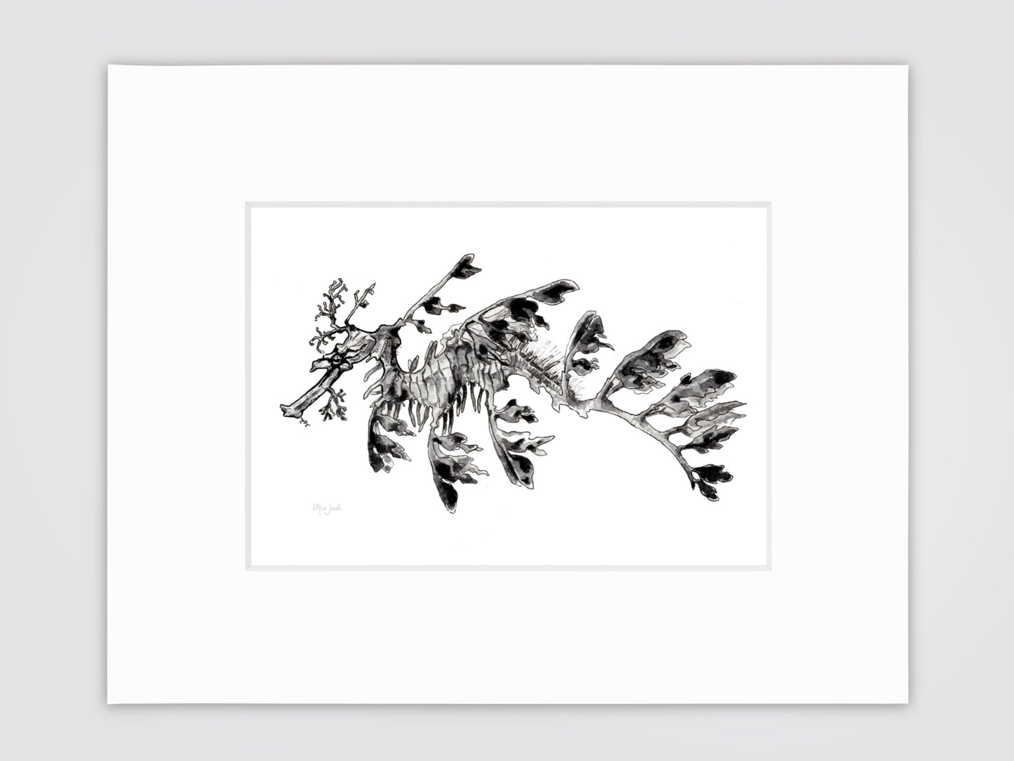 Leafy Sea Dragon Print