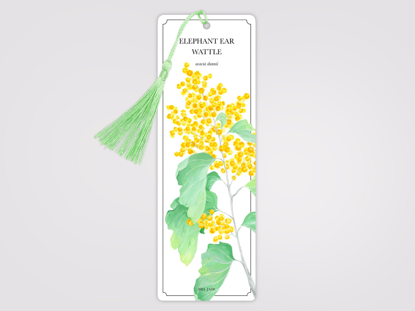 Elephant Ear Wattle Bookmark